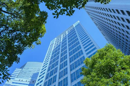 新たな一歩の始まり