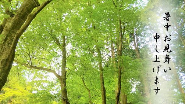 暑中御見舞い申し上げます。